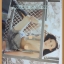 PENTHOUSE Vol.14 No.06,Nov.2007 สภาพดี;RC0501