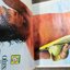 หนังสือการ์ตูนตาหวานเก่า เล่มใหญ่ ฉบับ เพื่อคุณ ฉบับที่33 เมษายน 2521