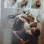 PLAYBOY USA. CLASSIC, JUNE 1973สภาพเยี่ยม 90%