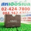 Hybeauty Himalaya Black Tea Eye Gel หิมาลายา แบล็ค ที อายเจล ราคาถูก ฟรีของแถมทุกรายการ