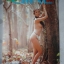 CRAZY GIRL SEXY'1 PHOTO ALBUM SPECIAL COVER GIRL PANADDA VIMSIRI