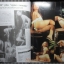 นิตยสารดารานางแบบ ฉบับที่195 2548 สภาพปานกลาง