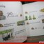 หนังสือภาพวาดสีน้ำมัน ศาสตร์และศิลป์ ของ ยาสูบไทย ด้วยภาพวาดสีน้ำมันที่งดงาม วาระครบรอบ 75 ปี ยาสูบไทย