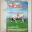 หนังสือคลายเครียดสำหรับผู้ใหญ่ พักยก เล่มที่9