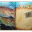 สารานุกรมไทยสำหรับเยาวชนฉบับเสริมการเรียนรู้ เล่ม18 โดยพระราชประสงค์ในพระบาทสมเด็จพระเจ้าอยู่หัว