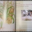 นิตยสารสารคดี ฉบับที่170 เมษายน 2542 โลกมหัศจรรย์แห่งกล้วยไม้ไทย,ของเล่นพื้นบ้าน,เที่ยวลพบุรี,