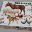 1/35 LIVESTOCK SET