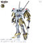 1/100 SCHPERTOR K.O.G. =BOTH 2989=