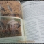 นิตยสารสารคดี ฉบับที่120 กุมภาพันธ์ 2538 ทหารเด็กแดนขุนส่า,เด็กเร่ร่อน,นกกระเรียน,นราธิวาส,
