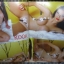 นิตยสารดารานางแบบ ฉบับที่221 2549 สภาพปานกลาง