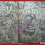 การ์ตูนบ้าน หมัดเทพเจ้าดาวเหนือ ฉบับ JUMBO NO.03 สนพ.มิตรไมตรี