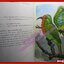 หนังสือ นกสามถิ่น นกสวน นกท้องนา นกป่าดง โดย บุญส่ง เลขะกุล (มือสอง) (สภาพ85-95%) มุมหนังสือด้านบนมีรอยขาดหน่อย
