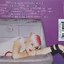 CD,Pink - Missundaztood (P!nk)(2001)(USA)