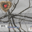CD,What Is Love 24 เพลงจากหลากหลายแง่มุมของความรัก (2CD)(รวมศิลปิน)(V.A.T)(2555)