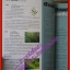 นิตยสารสารคดี ฉบับที่170 เมษายน 2542 โลกมหัศจรรย์แห่งกล้วยไม้ไทย,ของเล่นพื้นบ้าน,เที่ยวลพบุรี,