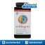 Youtheory Collagen Advanced Formula ยูเทอรี่ คอลลาเจน ราคาถูก ฟรีของแถมทุกรายการ