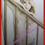PENTHOUSE Vol.24 No.06 2017