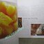 หนังสือ วิธีการปรุงอาหารไทยของดุสิต “Thai Way of Life, The Dusit Cookbook” (ปกแข็ง) ตำหนิ ตัวหนังสือมีคราบน้ำ กระดาษไม่ติด เปิดได้ตามปกติ