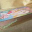 การ์ตูนบ้าน เจ้านายที่รัก - CHIPUKO BEPPY / เล่มเดียวจบ / หมึกจีน /