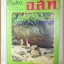 MD0506;นิตยสาร อ.ส.ท. ปีที่11 ฉบับที่10 พฤษภาคม 2514ปกยามบ่ายริมชายหาดวังแก้ว ระยอง