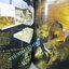 นิตยสาร เนชั่นแนลจีโอกราฟิก National Geographic ฉบับ02 กันยายน ปี2544 วอลรัส, สุสานอียิปต์