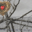 CD,What Is Love 24 เพลงจากหลากหลายแง่มุมของความรัก (2CD)(รวมศิลปิน)(V.A.T)(2555)