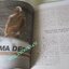 นิตยสารA DAY ฉบับที่108 AUG.2009 ฉบับพระพุทธเจ้า
