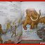 โลกยุคก่อนประวัติศาสตร์ Prehistory World / สนพ. ปาเจรา