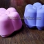 พิมพ์ซิลิโคนดอกบ๊วยเดี่ยว 7 cm. ( ราคา 12 ชิ้น )