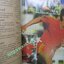 ฟุตบอลโลก mexico86 ฉบับที่11 ปี2529 ตำหนิ สันปกขาด ซ่อมติดกาว ติดแม็กซ์ หน้าปกมีรอยพับจากการผลิต
