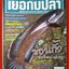 นิตยสาร เย่อกับปลา ฉบับที่079 ปี2547 ปก ช่อนกั้ง จากน้ำครำสู่ภูสูง