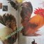 นิตยสารสารคดี ฉบับที่036 พระองค์พีระฯ,ไก่แจ้,คนทรงเจ้า,ปีที่03 ฉบับที่036 กุมภาพันธ์ 2531