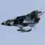 1/72 TORNADO IDS “Black Panthers”