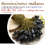 เชือกคล้องป้ายกระดาษ ดำแซม ดิ้นทอง 2 มิล 100 เส้น