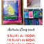 เสื้อกันฝน ผู้ใหญ่ คละสี ตัวละ 9.5บาท ส่ง 1500 ตัว