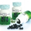 ผักเม็ด 6 สายพันธุ์ Alfalfa Wheatgrass Plus อัลฟัลฟ่า วีทกราส พลัส ราคาถูก ฟรีของแถมทุกรายการ