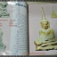 นิตยสารคอลเลคชั่น ฉบับที่05 ปี2539 ปก พระสมเด็จจิตรลดา