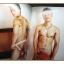 นิตยสารนายแบบ BORN No.03