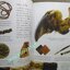 นิตยสาร เนชั่นแนลจีโอกราฟิก National Geographic ฉบับ073 2550 เตรื่องราง , อาณาจักรมายา