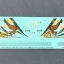 DECAL 1/48 SPECIAL MARKING 40th ANNIVERSARY F-5T TIGRIS "HIGH Vis"