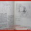 แบบเรียนกายวิภาคจากศิลปินเอก แปลและเรียบเรียงจาก Drawing Lessons From the Great Masters โดย นิวิต หะนนท์