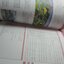 หนังสือคู่มือเกมส์ภาษาญี่ปุ่น Atelier Lilie