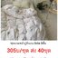 **รุ่นกระสอบละ 1ลาย** ชุดผ้านวม+ผ้าปุที่นอน เกรด A 6ฟุต6ชิ้น รุ่นนี้ 1กระสอบ มี 1ลาย (มีลายเดียว ไม่คละลาย) เริ่มต้น 305บาท/ชุด
