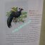 นิตยสารสารคดี ฉบับที่094 ปี2535;ไก่ฟ้าพญาลอ,เที่ยวทุ่งลงข้าว,60ปีสวนโมกข์,เที่ยวเชียงใหม่