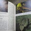 The Seashore Naturalists' Handbook By Leslie Jackman (Hardcover) / HAMLYN