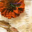 CD,นันทิดา แก้วบัวสาย ชุด บ่งบอก (Nantida Kaewbuasai)(Gold CD)(2023)