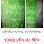 หญ้าเทียม สูง5ซม กว้าง 2ม. x ยาว 25มมียูวี ผืนละ 10700บ