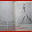 แบบเรียนกายวิภาคจากศิลปินเอก แปลและเรียบเรียงจาก Drawing Lessons From the Great Masters โดย นิวิต หะนนท์