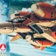 1/72 VT-1 Super Ostrich