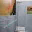 นิตยสารสารคดี ฉบับที่194 เมษายน 2544 เฟิน,ชนกว่าง,สำรับแขกคลองบางหลวง
